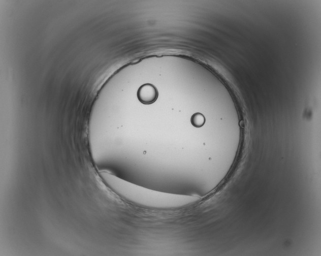 X0000111251193200907231546