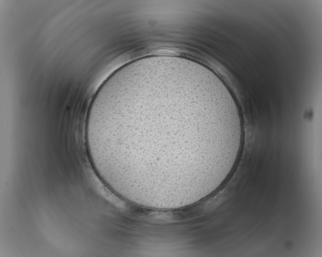 X0000111251194200907231546