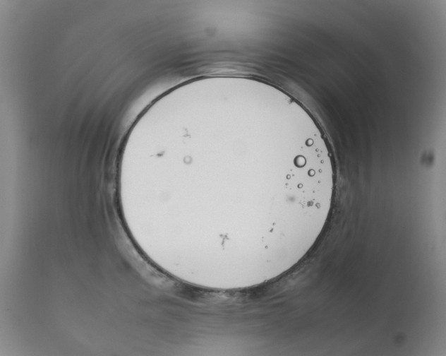 X0000111251195200907231545