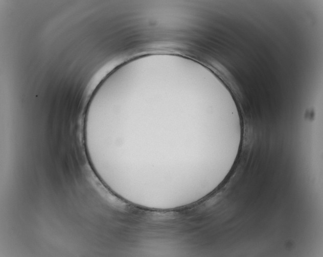 X0000111251196200907231545