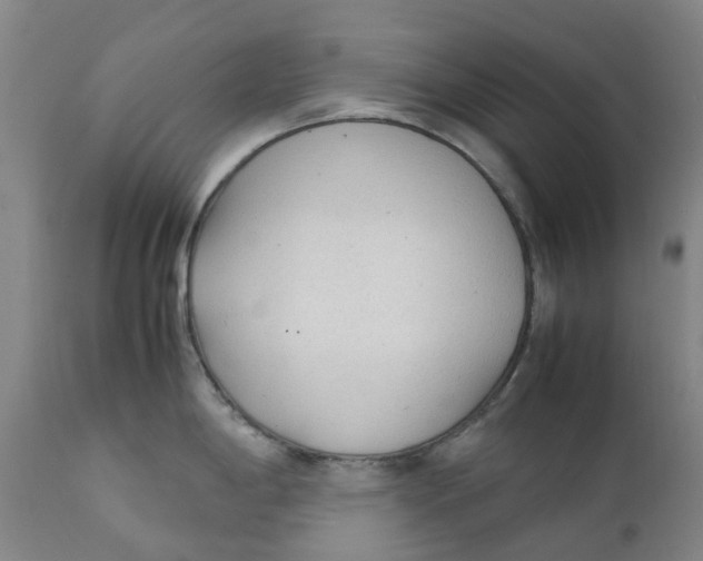 X0000111251198200907231545