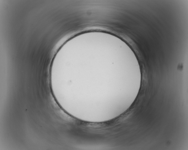 X0000111251199200907231545