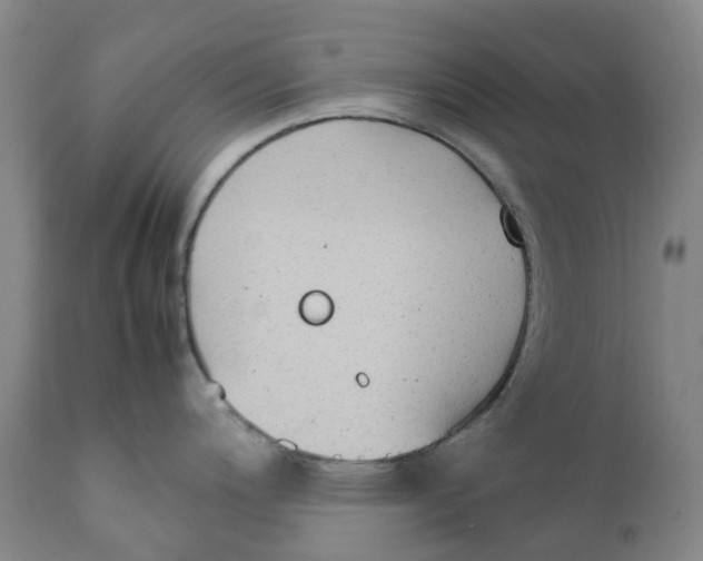 X0000111251200200907231545