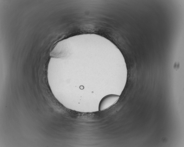 X0000111251201200907231545