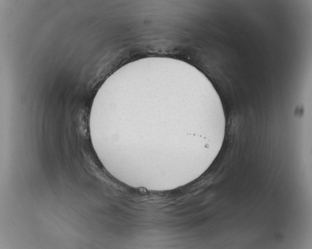 X0000111251202200907231545