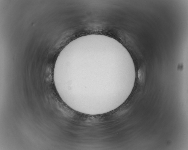 X0000111251203200907231545