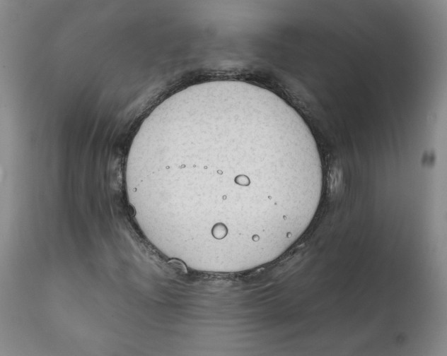 X0000111251204200907231545