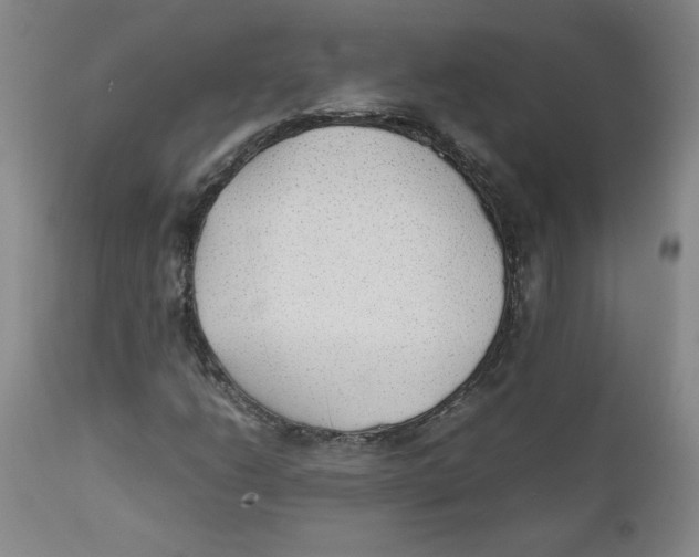 X0000111251206200907231545