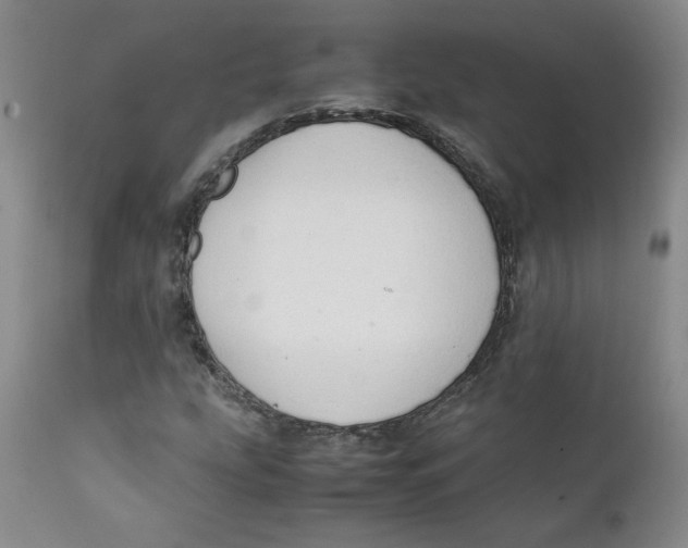 X0000111251207200907231545