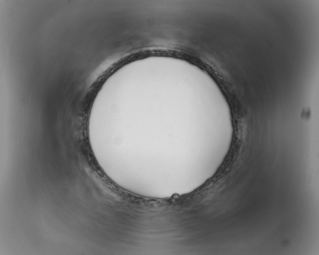 X0000111251208200907231545