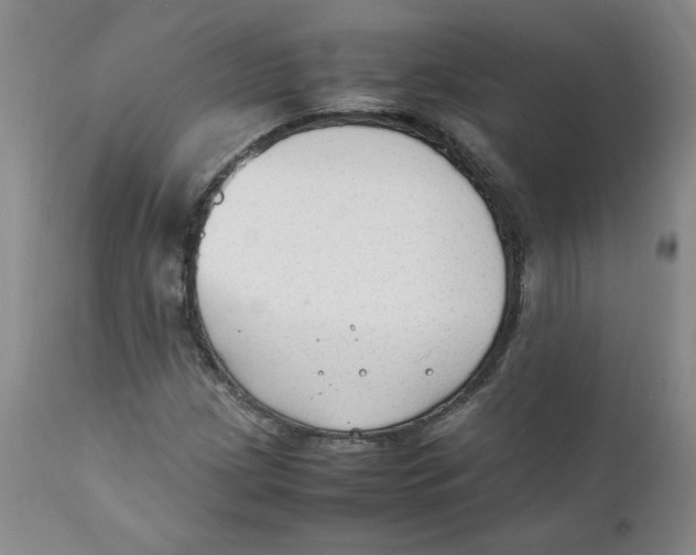 X0000111251209200907231545