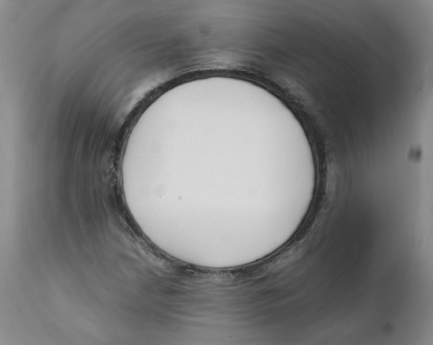 X0000111251210200907231545