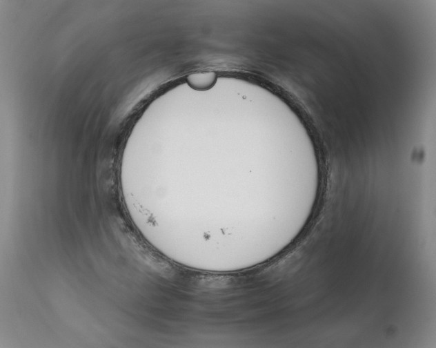 X0000111251211200907231545