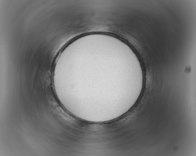 X0000111251212200907231545