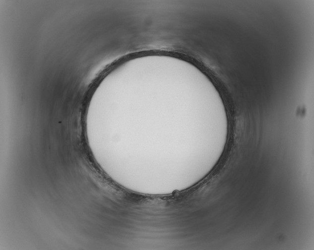 X0000111251214200907231545