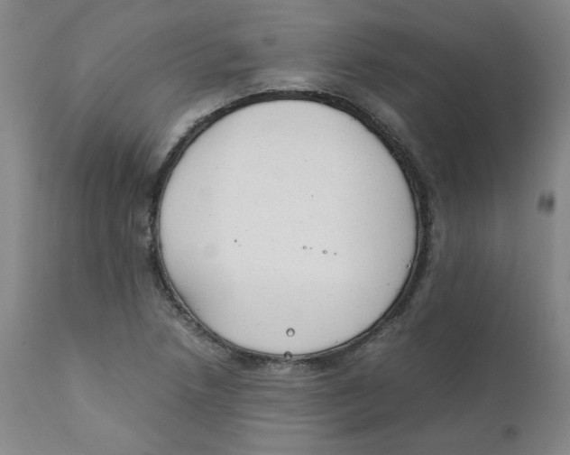 X0000111251218200907231545