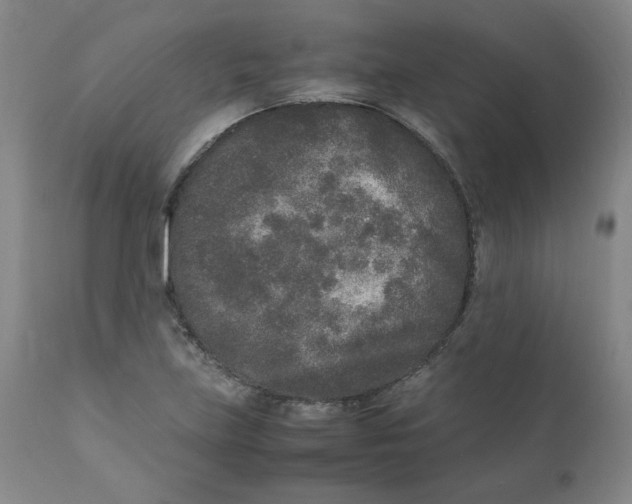 X0000111251219200907231545