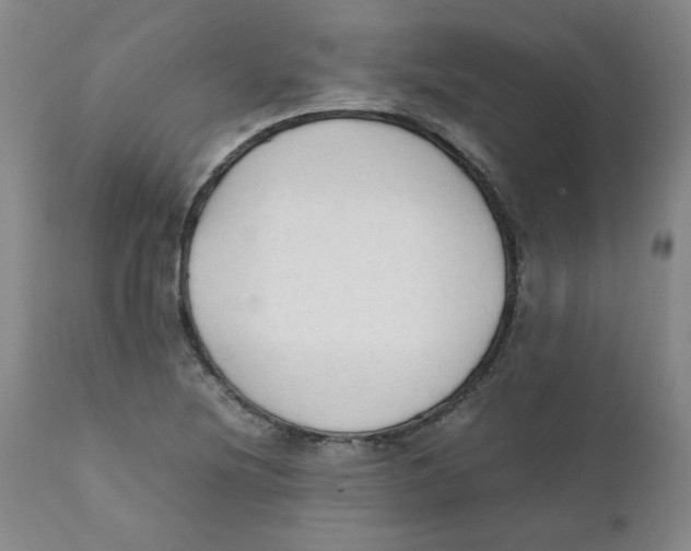 X0000111251220200907231545