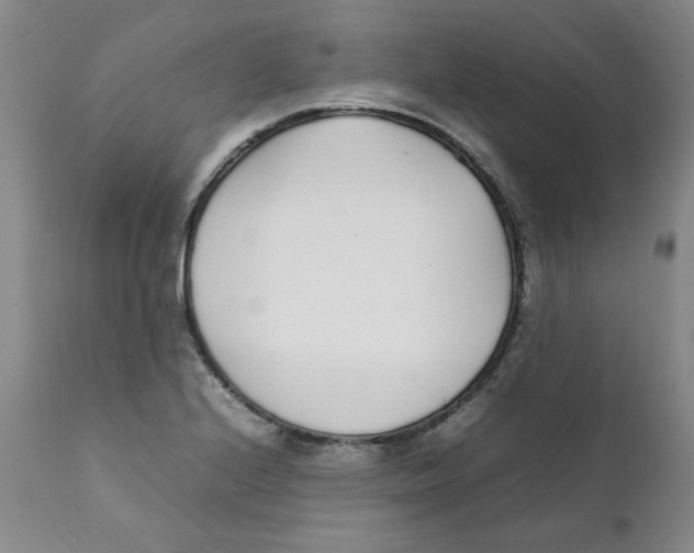 X0000111251224200907231545