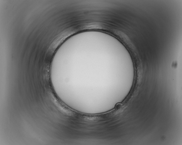 X0000111251225200907231545