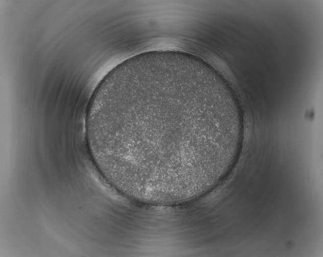 X0000111251226200907231545