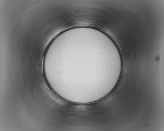 X0000111251227200907231545