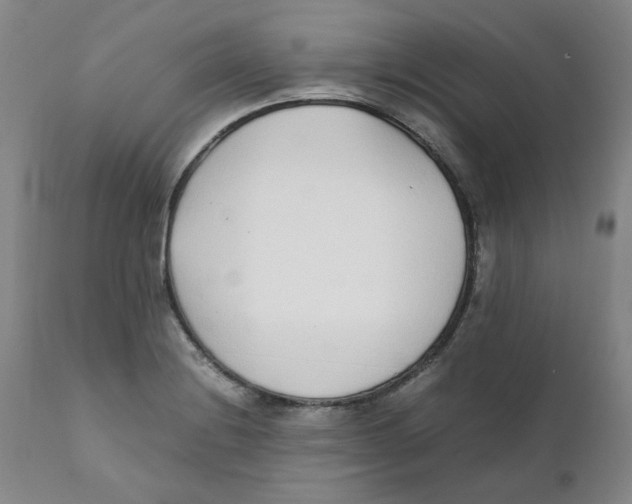 X0000111251228200907231545