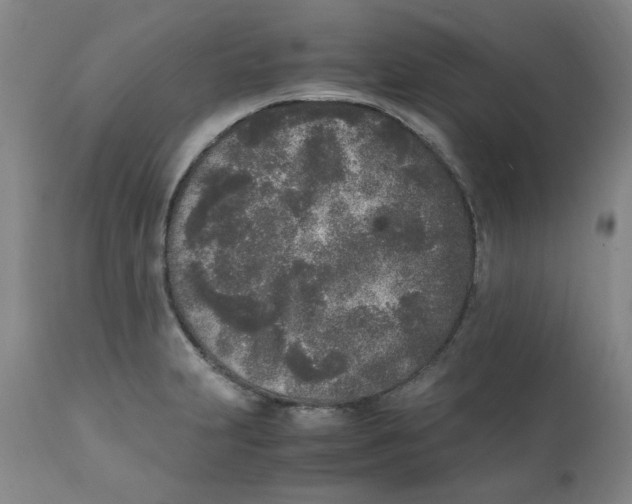 X0000111251231200907231545