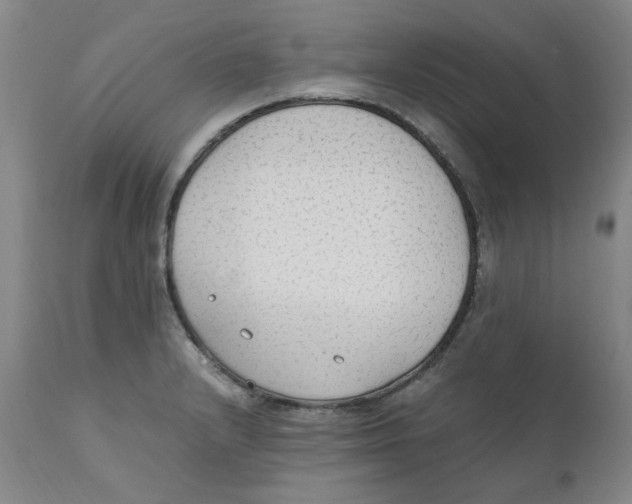 X0000111251232200907231545