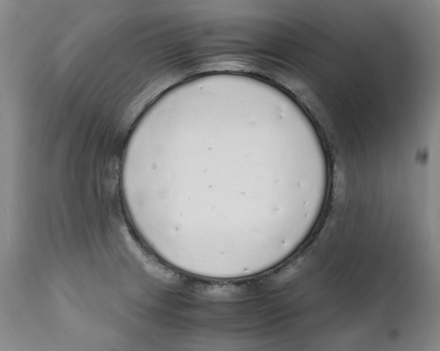 X0000111251233200907231545