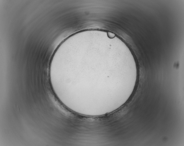 X0000111251234200907231545