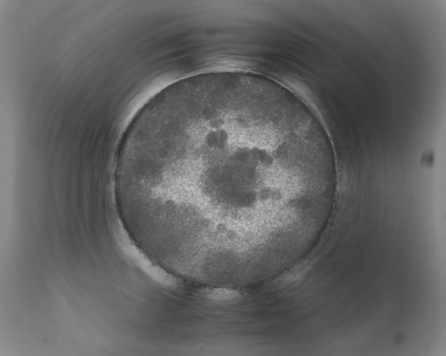 X0000111251235200907231545