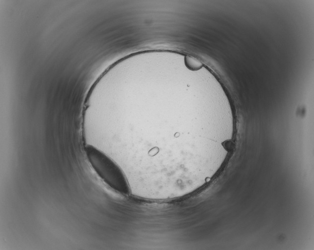 X0000111251236200907231545