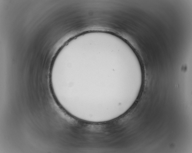 X0000111251237200907231545