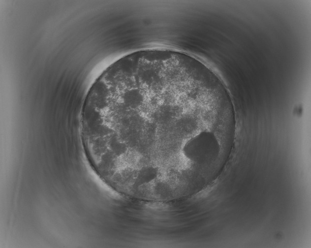 X0000111251239200907231545