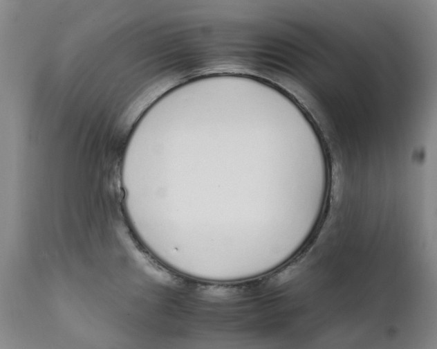 X0000111251241200907231545