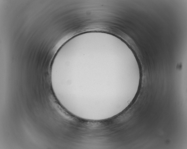 X0000111251242200907231545