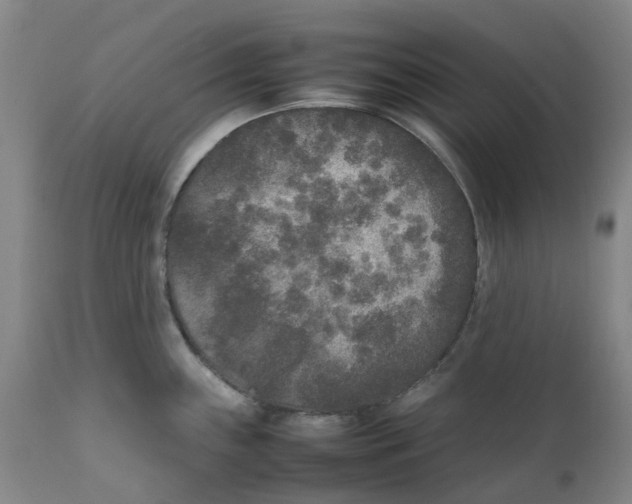 X0000111251243200907231545