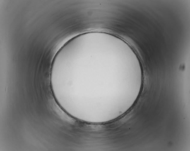 X0000111251244200907231545