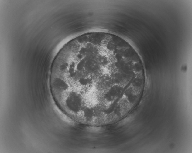 X0000111251245200907231545