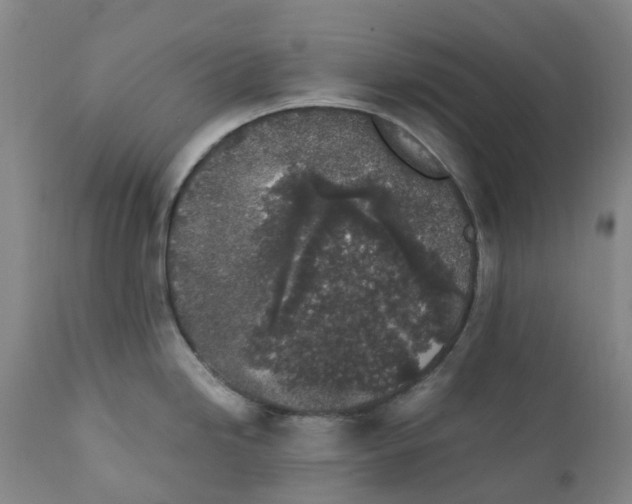 X0000111251246200907231545