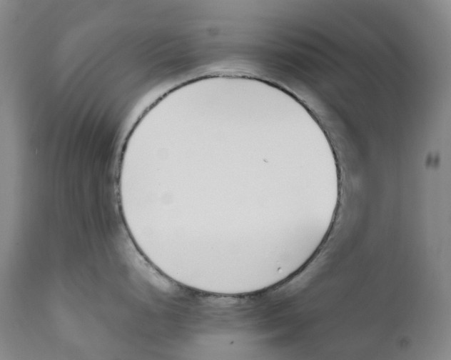 X0000111251248200907231545