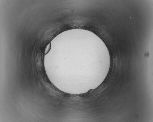 X0000111251250200907231544