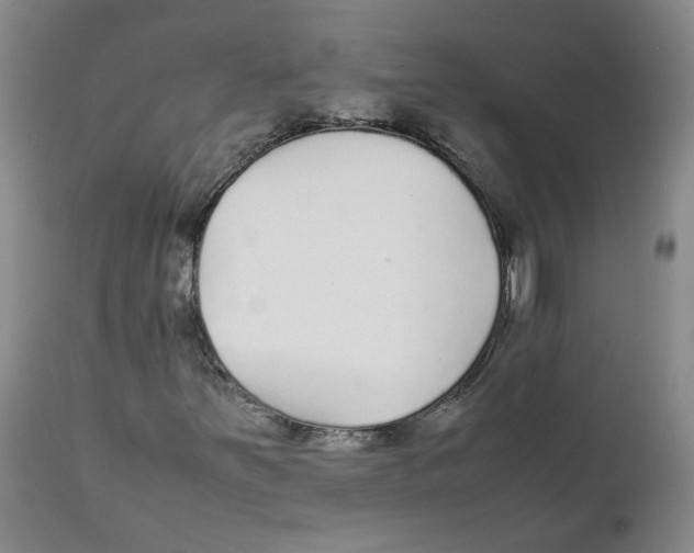 X0000111251251200907231544