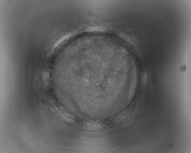 X0000111251254200907231544