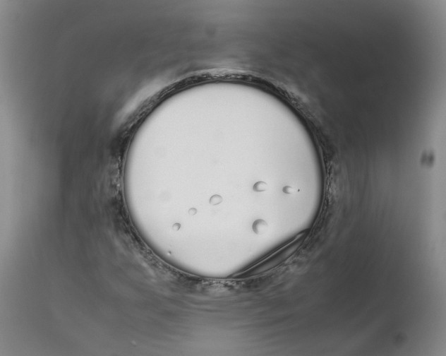 X0000111251255200907231544