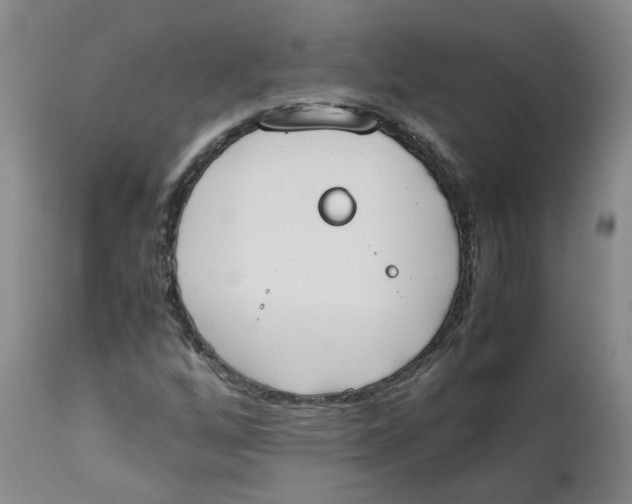 X0000111251256200907231544