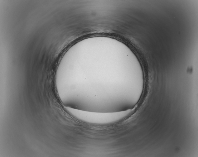 X0000111251257200907231544