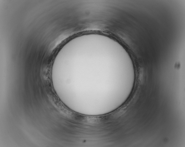 X0000111251258200907231544