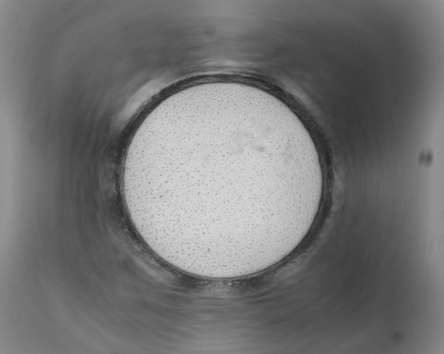 X0000111251259200907231544